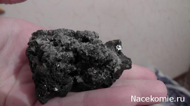 Компания кладоискателей. Болталка форума Минералов