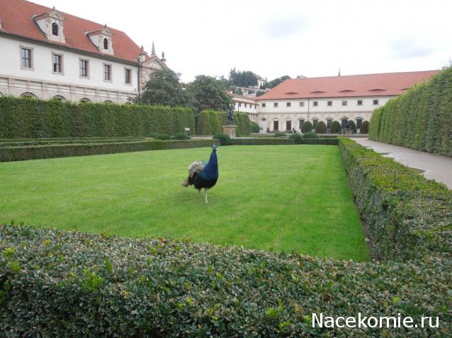 Мой любимый город или дорогие сердцу места