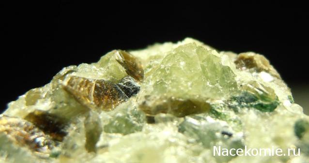 Минералы Сокровища Земли №7 - Оливин