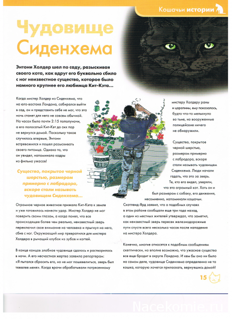 The Cat Collection №31 Серебристый тебби Фото