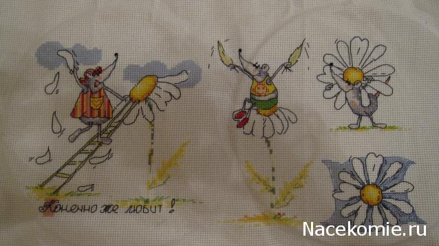 Round Robin_координатор Mabelle