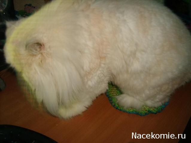 Игра "Рукодельная авантюра"