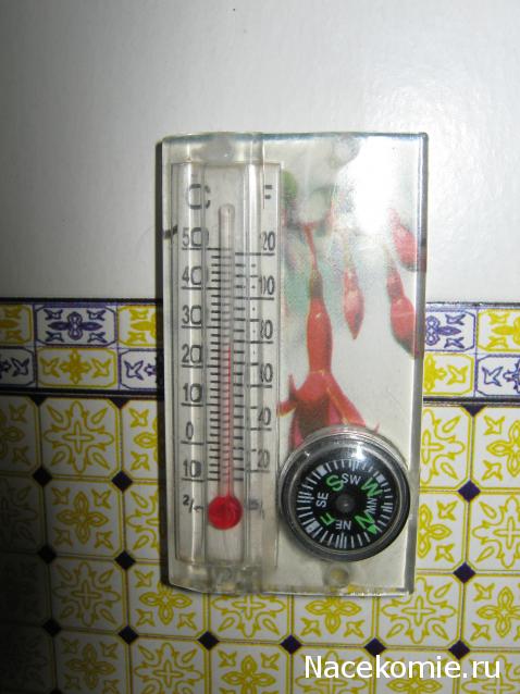 Aniela - Мечта о былом, так желаемом в настоящем...