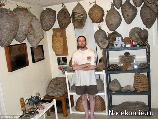 Поэтические посиделки