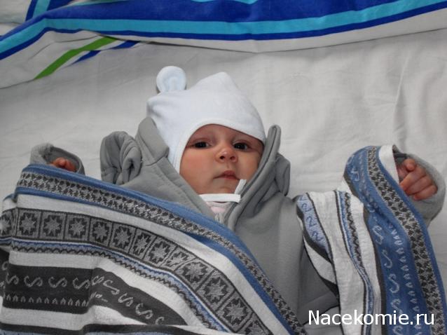 sphynx Канадские сфинксы в английском доме