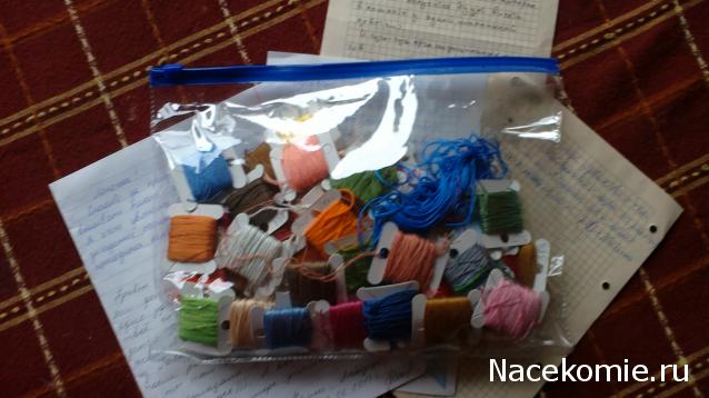 Round Robin_координатор Mabelle