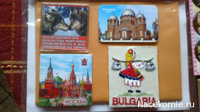 Round Robin_координатор Mabelle