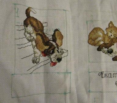 Round Robin- координатор  shabsik