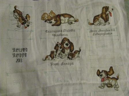 Round Robin- координатор  shabsik