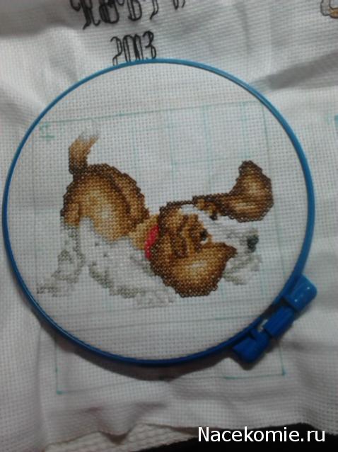 Round Robin- координатор  shabsik