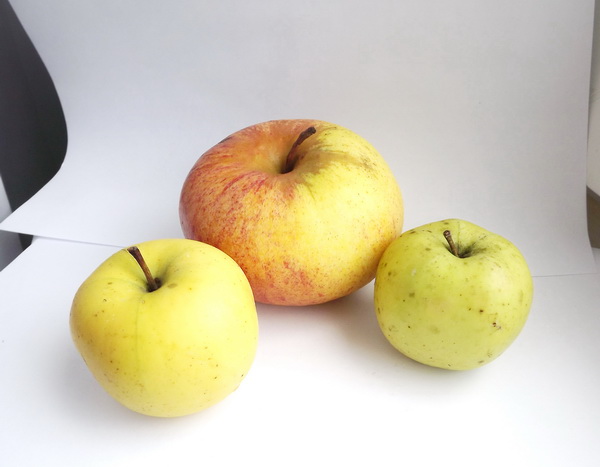 alelya - обо всем понемногу, или...