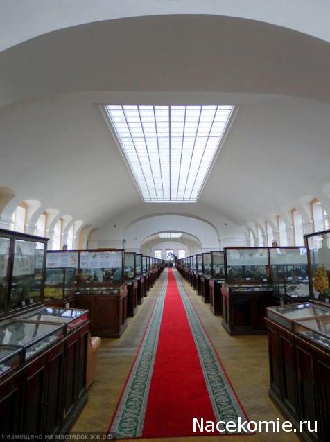 Компания кладоискателей. Болталка форума Минералов