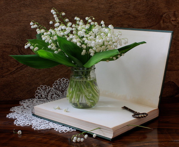 Дом Мечты наши дни рождения