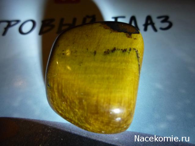 Минералы Сокровища Земли №11 - Тигровый глаз