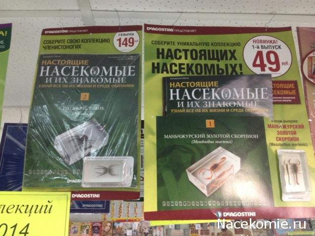Компания кладоискателей. Болталка форума Минералов