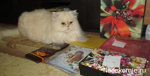 Новогодний рукодельный сюрпризник 2014