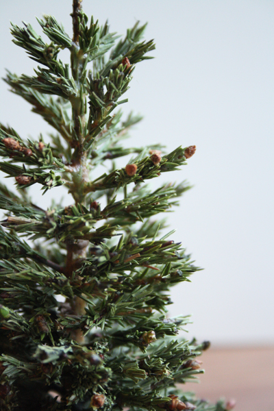 Новый год, Рождество и другие праздники в миниатюре