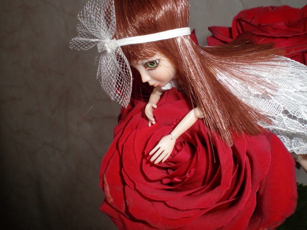 Жильцы Дома Мечты фото, ссылки, обсуждение