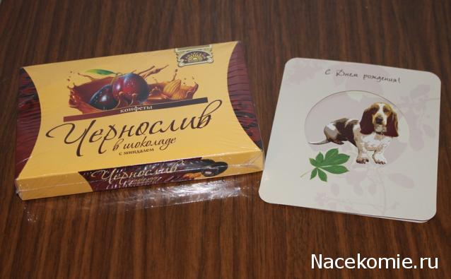 NataBasya - В мечтах о доме