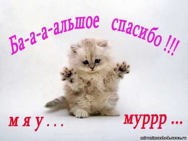 Дом Мечты и Трамвайчик желаний №2