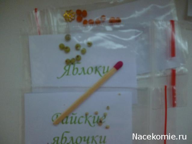 Дом Мечты Подарки добрых фей