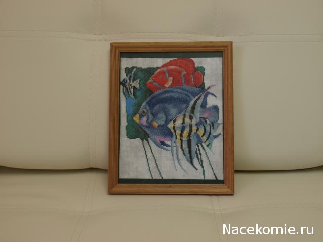 Хвастушки - наши творения