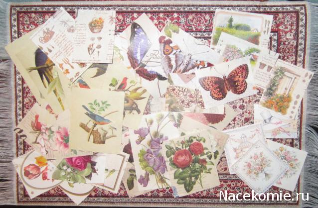 CTB-фантазии