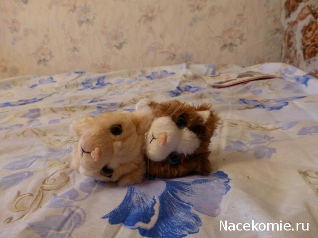 The Cat Collection №33 Тиффани Фото