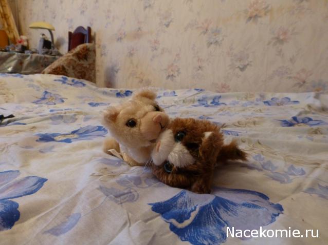 The Cat Collection №33 Тиффани Фото