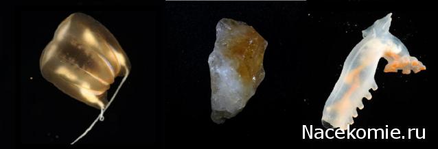 Минералы Сокровища Земли №12 - Цитрин