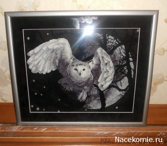 Хвастушки - наши творения