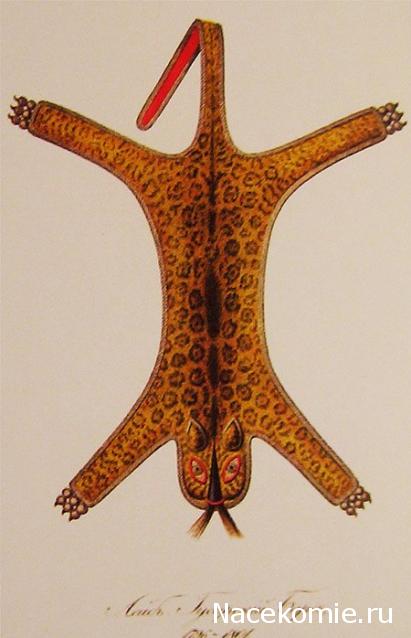 Другие воины разных эпох в миниатюре: фото, обсуждение