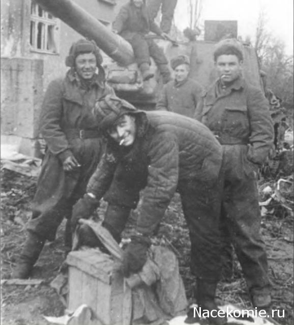 Солдаты ВОВ - Землянка (общение на разные темы)