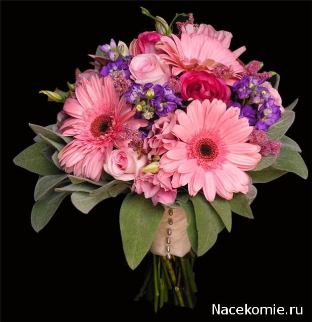 Наши Дни Рождения