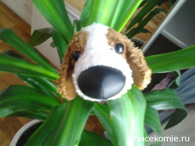 The Dog Collection Болталка