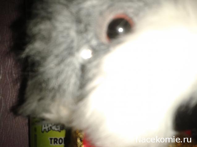 The Dog Collection Болталка