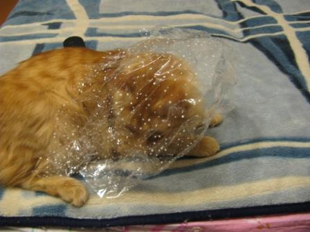 Новогодний рукодельный сюрпризник 2014