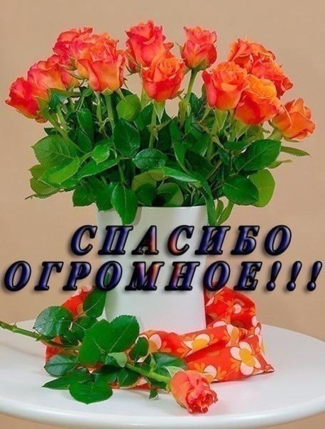 TNKtwins: Моя мантра