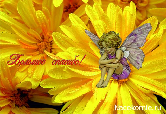 CTB-фантазии