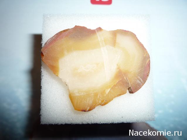 Минералы Сокровища Земли №15 - Агат