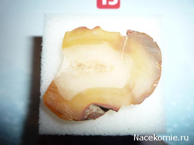 Минералы Сокровища Земли №15 - Агат