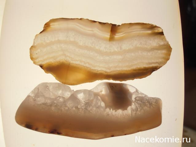 Минералы Сокровища Земли №15 - Агат