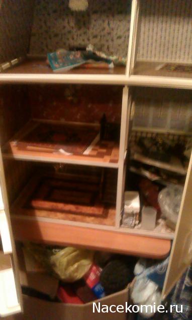 Дом Мечты Болталка: перезагрузка