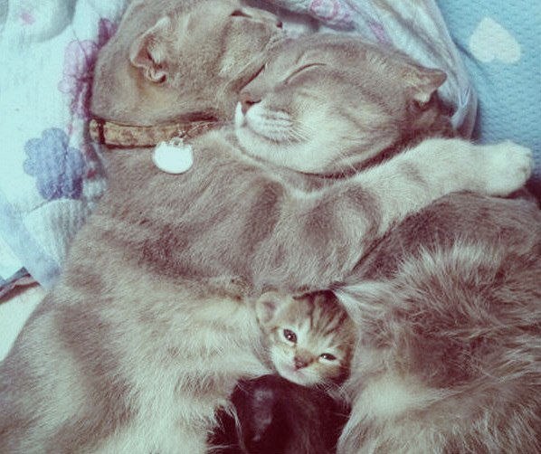 Дом Мечты наши дни рождения