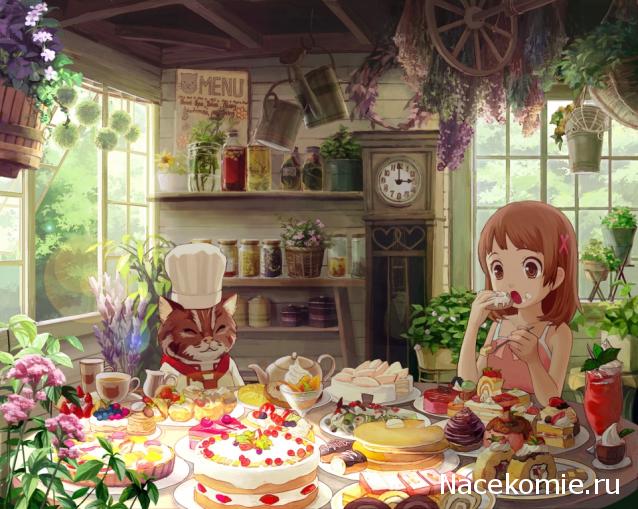 Дом Мечты наши дни рождения