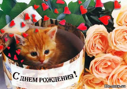 Дом Мечты наши дни рождения