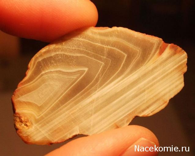 Минералы Сокровища Земли №15 - Агат