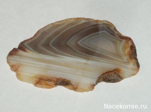 Минералы Сокровища Земли №15 - Агат