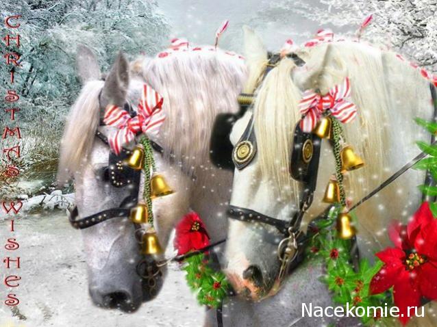 OlgaPro_Заячья норка в Царском селе.