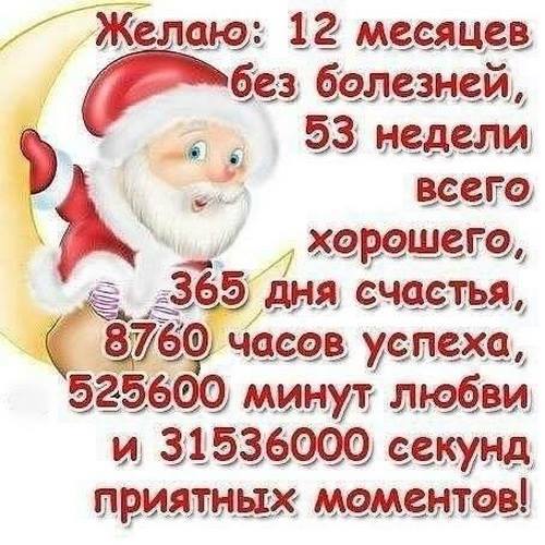 LILY - Галочкино чудо!